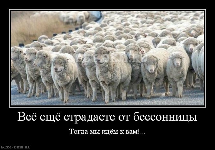 Lustige Tierbilder Russisch-Deutsch