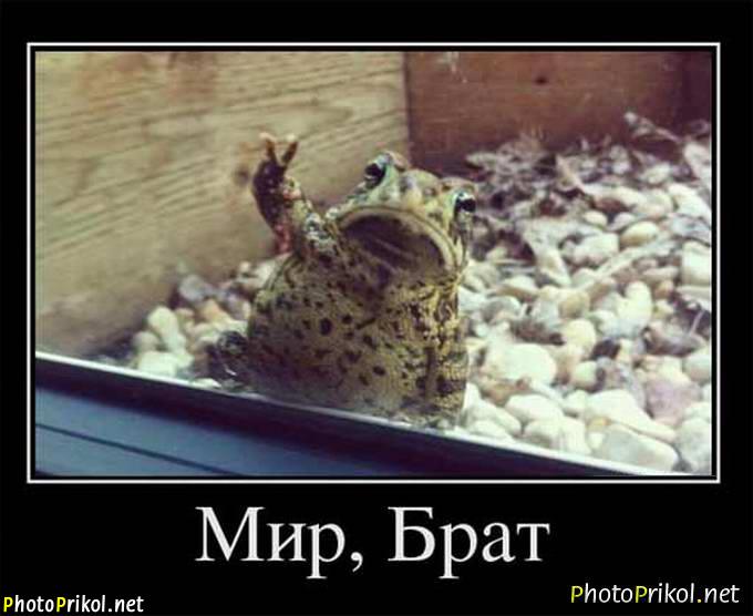Lustige Tierbilder Russisch-Deutsch