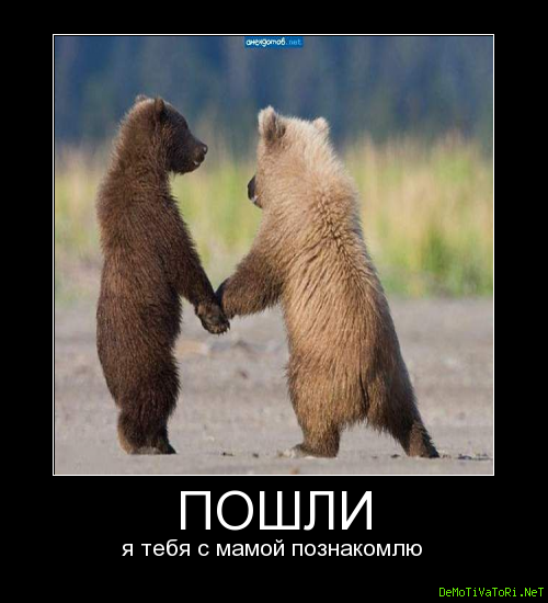 Lustige Tierbilder Russisch-Deutsch