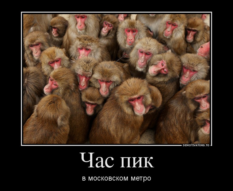 Russisch mit Witzen am Freitag: Umgangssprache Russisch mit Spaß